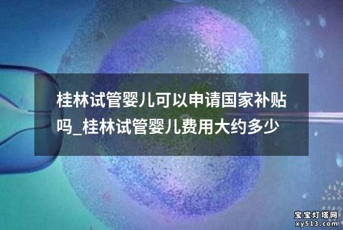 桂林试管婴儿可以申请国家补贴吗_桂林试管婴儿费用大约多少