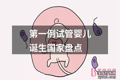 第一例试管婴儿诞生国家盘点