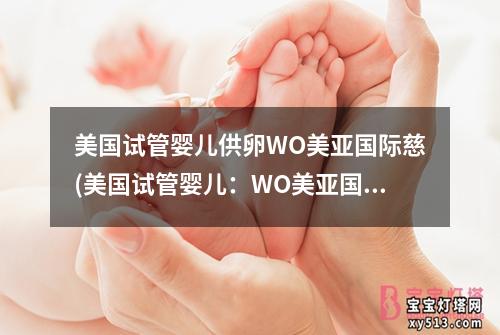 美国试管婴儿供卵WO美亚国际慈(美国试管婴儿：WO美亚国际慈为中心)