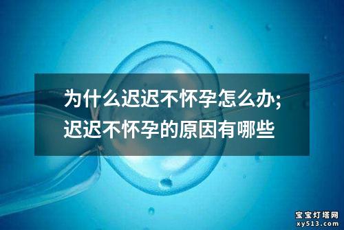 为什么迟迟不怀孕怎么办;迟迟不怀孕的原因有哪些