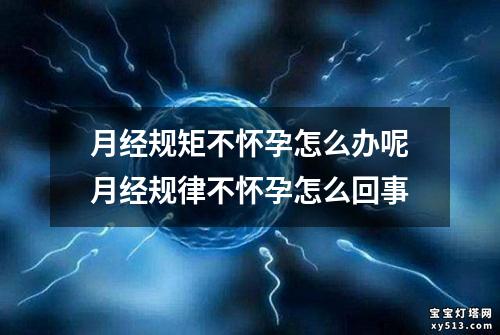 月经规矩不怀孕怎么办呢月经规律不怀孕怎么回事