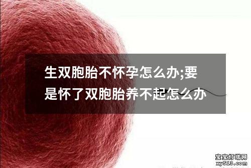 生双胞胎不怀孕怎么办;要是怀了双胞胎养不起怎么办