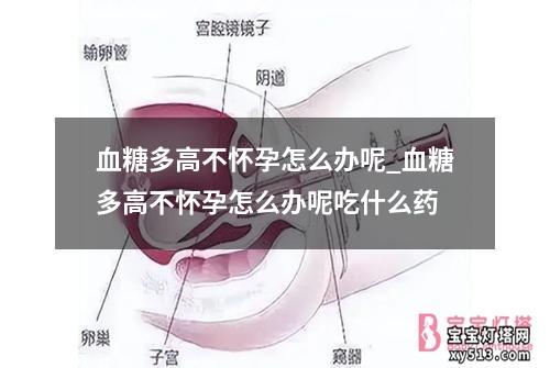 血糖多高不怀孕怎么办呢_血糖多高不怀孕怎么办呢吃什么药