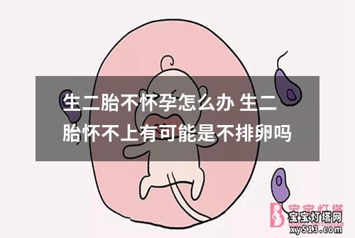 生二胎不怀孕怎么办 生二胎怀不上有可能是不排卵吗