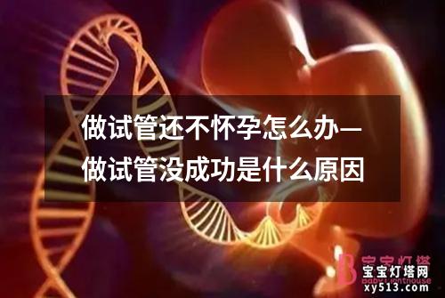 做试管还不怀孕怎么办—做试管没成功是什么原因