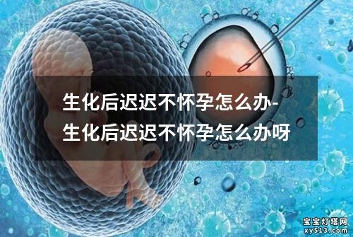 生化后迟迟不怀孕怎么办-生化后迟迟不怀孕怎么办呀