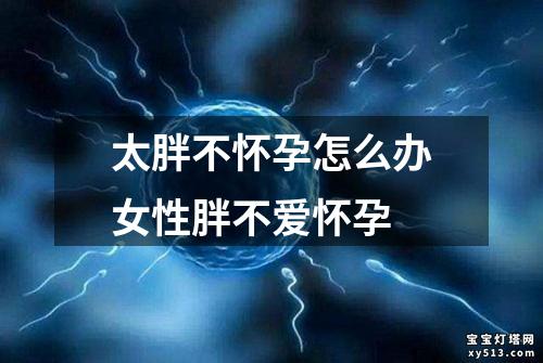 太胖不怀孕怎么办女性胖不爱怀孕