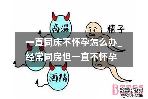 一直同床不怀孕怎么办_经常同房但一直不怀孕