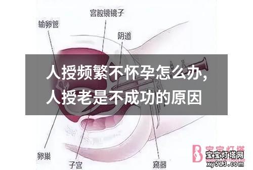 人授频繁不怀孕怎么办,人授老是不成功的原因