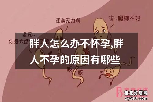 胖人怎么办不怀孕,胖人不孕的原因有哪些