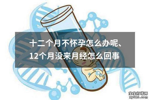 十二个月不怀孕怎么办呢、12个月没来月经怎么回事