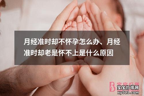 月经准时却不怀孕怎么办、月经准时却老是怀不上是什么原因