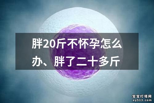 胖20斤不怀孕怎么办、胖了二十多斤