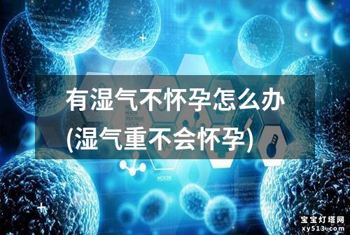 有湿气不怀孕怎么办(湿气重不会怀孕)