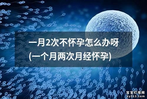 一月2次不怀孕怎么办呀(一个月两次月经怀孕)