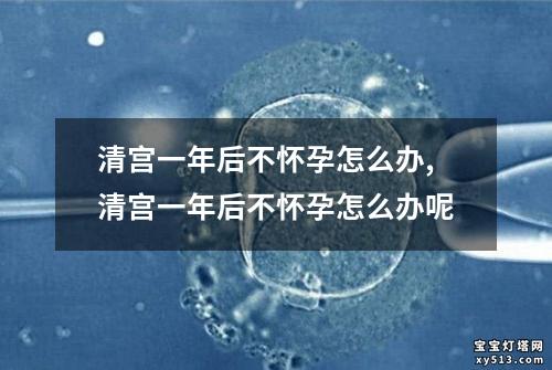 清宫一年后不怀孕怎么办,清宫一年后不怀孕怎么办呢