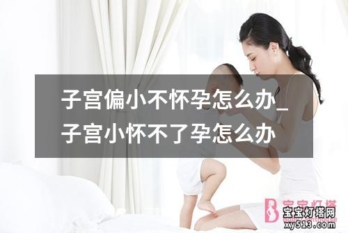 子宫偏小不怀孕怎么办_子宫小怀不了孕怎么办