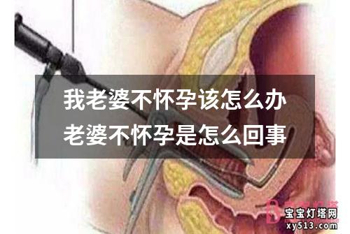 我老婆不怀孕该怎么办老婆不怀孕是怎么回事