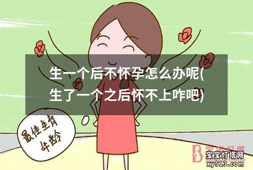 生一个后不怀孕怎么办呢(生了一个之后怀不上咋吧)