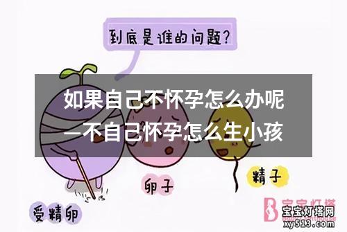 如果自己不怀孕怎么办呢—不自己怀孕怎么生小孩