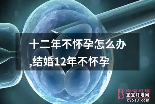 十二年不怀孕怎么办,结婚12年不怀孕