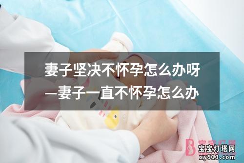 妻子坚决不怀孕怎么办呀—妻子一直不怀孕怎么办