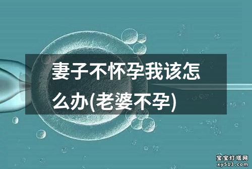 妻子不怀孕我该怎么办(老婆不孕)