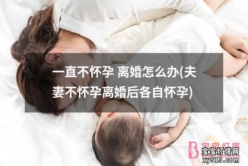 一直不怀孕 离婚怎么办(夫妻不怀孕离婚后各自怀孕)