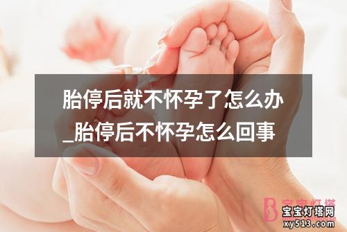 胎停后就不怀孕了怎么办_胎停后不怀孕怎么回事