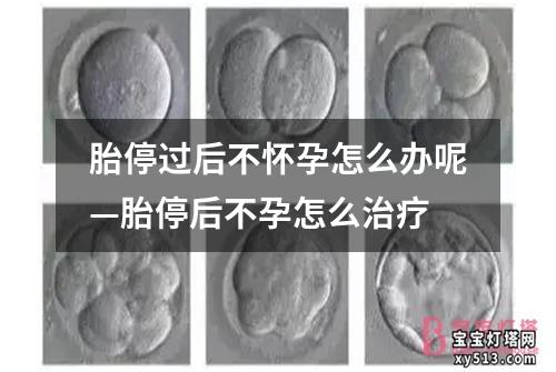 胎停过后不怀孕怎么办呢—胎停后不孕怎么治疗