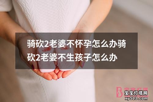 骑砍2老婆不怀孕怎么办骑砍2老婆不生孩子怎么办