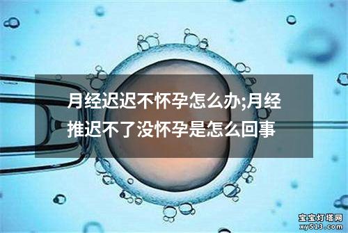 月经迟迟不怀孕怎么办;月经推迟不了没怀孕是怎么回事