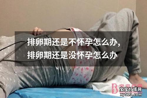 排卵期还是不怀孕怎么办,排卵期还是没怀孕怎么办