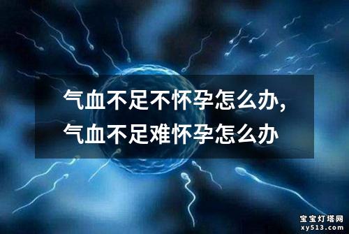 气血不足不怀孕怎么办,气血不足难怀孕怎么办