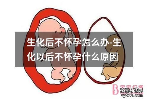 生化后不怀孕怎么办-生化以后不怀孕什么原因