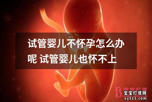 试管婴儿不怀孕怎么办呢 试管婴儿也怀不上