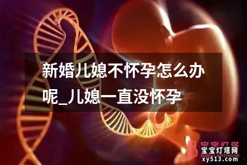 新婚儿媳不怀孕怎么办呢_儿媳一直没怀孕