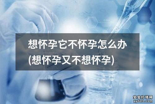 想怀孕它不怀孕怎么办(想怀孕又不想怀孕)