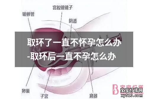 取环了一直不怀孕怎么办-取环后一直不孕怎么办