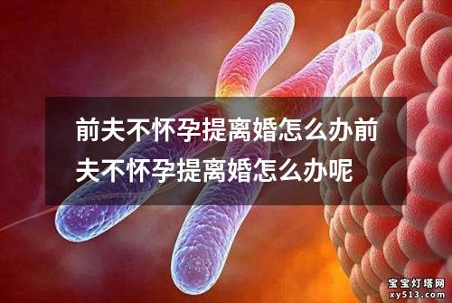 前夫不怀孕提离婚怎么办前夫不怀孕提离婚怎么办呢