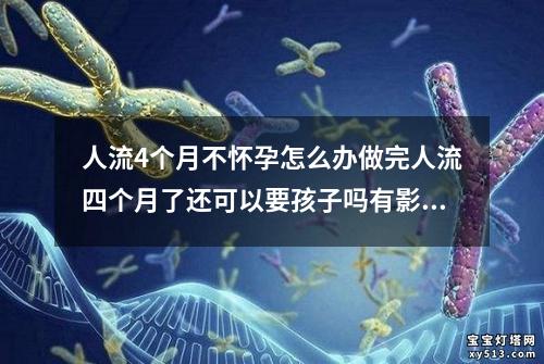 人流4个月不怀孕怎么办做完人流四个月了还可以要孩子吗有影响吗