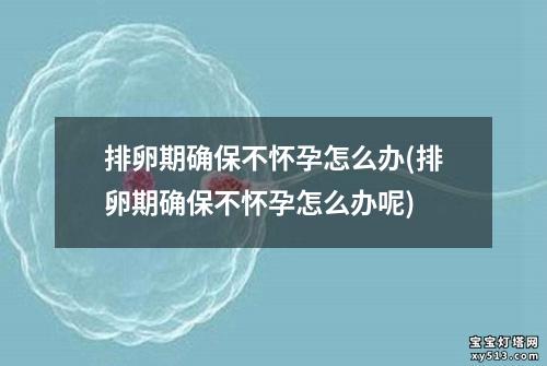 排卵期确保不怀孕怎么办(排卵期确保不怀孕怎么办呢)