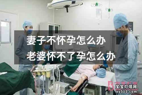 妻子不怀孕怎么办 老婆怀不了孕怎么办