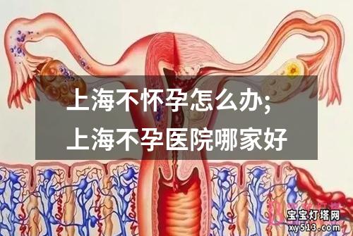 上海不怀孕怎么办;上海不孕医院哪家好