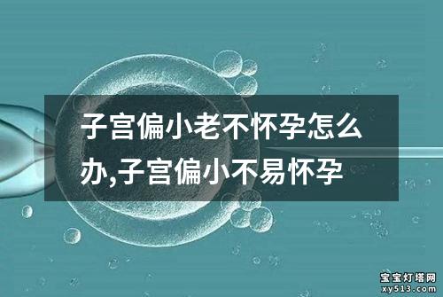 子宫偏小老不怀孕怎么办,子宫偏小不易怀孕