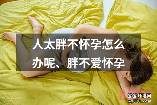 人太胖不怀孕怎么办呢、胖不爱怀孕