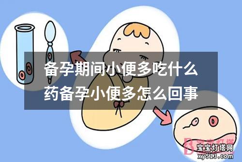 备孕期间小便多吃什么药备孕小便多怎么回事