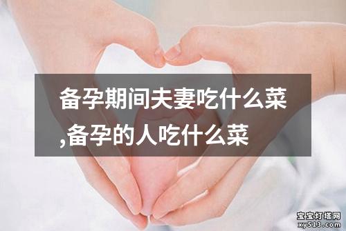 备孕期间夫妻吃什么菜,备孕的人吃什么菜