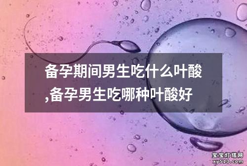 备孕期间男生吃什么叶酸,备孕男生吃哪种叶酸好