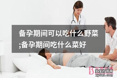 备孕期间可以吃什么野菜;备孕期间吃什么菜好